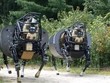 Chú chó robot khổng lồ của quân đội Mỹ