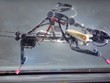 Robot chạy nhanh hơn cả nhà vô địch Olympic