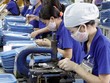 Sau một năm thực hiện Nghị quyết 35/2016, nhiều Kl991.com World Cup 2026 Chính Thức vẫn than phiền bị kiểm tra, thanh tra quá nhiều.