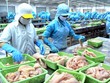 Nguyên chủ tịch Thuỷ sản Việt Nhật (VNH) bị tố chiếm đoạt 155 tỷ đồng