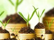 7 quy tắc 'vàng' Kl99ok phiên bản mới đất nền an toàn