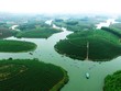 Đi trốn nóng ở ốc đảo chè đẹp mê hồn xứ Nghệ