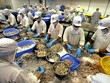 Hơn 1.000 công ty Việt Nam không thể xuất hàng vào Mỹ