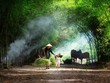 Những bức ảnh ấn tượng vòng chung khảo 'Dấu ấn Việt Nam'