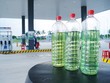 Xăng mua tại trạm xăng IQ8 có màu hơi ngả vàng (ngoài cùng bên trái). Ảnh: Hoàng Hiệp.