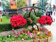 Đà Lạt chi 40 tỷ đồng để tổ chức Festival hoa lần thứ 6. Ảnh: Quốc Dũng.