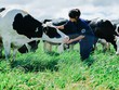 F&N Dairy Investment mòn mỏi đăng ký mua KL99 là cổng game giải trí trực tuyến hàng đầu hiện nay VNM