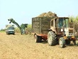 BHS chi hơn 57 tỷ đồng “gom trọn” cổ phần đấu giá của Mía đường Tây Ninh