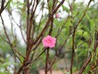 Sự kiện 99Kl99 link đăng nhập đáng chú ý ngày 30/1