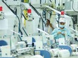 AAA: Chi phí tăng cao nhưng Kl99 nổ hũ cả năm vẫn vượt kế hoạch