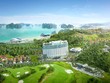 FLC: Doanh thu 2017 đạt gần gấp đôi so với năm 2016