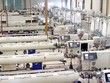 SCIC thoái vốn khỏi Nhựa Bình Minh (BMP): Giá khởi điểm 96.500 đồng/KL99 là cổng game giải trí trực tuyến hàng đầu hiện nay