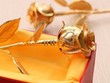 Giá vàng hôm nay (8/3): Đồng loạt suy giảm