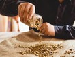 Giá vàng hôm nay ngày 29/1: Tăng trở lại 50.000 đồng/lượng