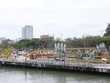 Đường hoa ở Đà Nẵng tái hiện cầu Vàng