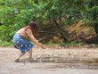 Du khách đổ về rừng Cúc Phương ngắm hàng triệu cánh bướm