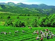 GTNFoods (GTN) biến động nhân sự trước ngày Đại hội đồng Trang Chủ KL99Com Số 1 Link Đăng Ký KL999