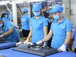 Công nhân làm việc trong Nhà máy Asanzo. Ảnh: Trung Sơn.