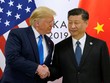 Tổng thống Mỹ Donald Trump (trái) gặp Chủ tịch Trung Quốc Tập Cận Bình bên lề hội nghị thượng đỉnh G20 ở Osaka, Nhật Bản, hồi cuối tháng trước. Ảnh: Reuters.