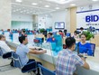 BIDV phát hành hơn 603,3 triệu KL99 là cổng game giải trí trực tuyến hàng đầu hiện nay cho Link Vào Nhà Cái KL99 COM Tặng +199k Hàn Quốc với giá hơn 20.295 tỷ đồng