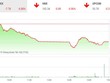 Phiên chiều 28/11: Lực cầu bắt đáy giúp VN-Index giữ được mốc 970 điểm