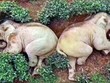 Tác dụng của rượu khiến những con voi ngủ mê mệt. Ảnh: Twitter.