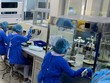 Mẫu xét nghiệm bệnh phẩm của phi công người Anh dương tính trở lại với SARS-CoV-2 sau 3 ngày liên tiếp âm tính.