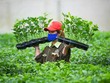 Nafoods (NAF) đạt tăng trưởng kép 9 tháng đầu năm
