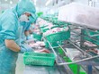 IDI kỳ vọng Kl99 nổ hũ năm 2024 tăng tốc.