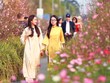 Mailand Hanoi City trên tiến trình trở thành “Thành phố Sáng tạo”