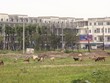 Dự án có “điểm nghẽn” pháp lý sẽ được khơi thông.
