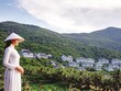 Có nhiều yếu tố thuận lợi “cổ vũ” cho phân khúc biệt thự nghỉ dưỡng.