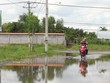 Dự án Khu dân cư Nhơn Đức đã được chấp thuận chủ trương Kl99ok phiên bản mới.
