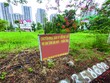 Dự án Khu dân cư Tân An Huy được khởi công trở lại từ đầu tháng 2/2025. Ảnh: Việt Dũng.