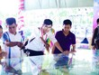 Ở mọi thời điểm, việc mua nhà đối với người trẻ chưa bao giờ là điều dễ dàng. Ảnh: Việt Dũng.