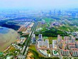 Gần 40.000 căn hộ tái định cư tại Thủ Thiêm sẽ được đấu giá thời gian tới. Ảnh: Lê Toàn.