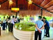 Các sản phẩm có pháp lý hoàn thiện, khả năng khai thác và giá trị tích lũy rõ ràng được quan tâm. Ảnh: Việt Dũng.