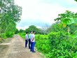 Nhà Kl99ok phiên bản mới đi săn đất nền. Ảnh: Vũ Dũng.
