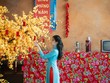 Four Points By Sheraton Danang triển khai chuỗi trải nghiệm lễ hội chào đón Tết Nguyên đán Bính Ngọ 2026