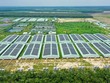 Giữa “tâm bão” ngành chăn nuôi, BAF nỗ lực giữ biên Kl99 nổ hũ 
