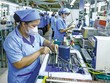 Xu hướng FDI vào Việt Nam vẫn rất tích cực, nhưng cạnh tranh Kl999.com bắn cá đổi thưởng ngày càng gay gắt hơn. Ảnh: Đức Thanh
