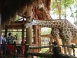 Du khách quốc tế thích thú khi tham quan Vinpearl Safari Phú Quốc. Ảnh: Thành Nguyễn.