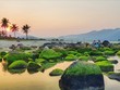 Khu vực bãi biển Nam Ô, quận Liên Chiểu, TP Đà Nẵng.