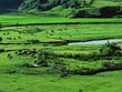Măng Đen - Kon Tum có điều kiện thuận lợi để Kl99ok phiên bản mới xây dựng sân Golf.