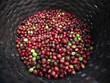 Bloomberg: Việt Nam giành thắng lợi nhờ đa dạng hóa hàng xuất khẩu