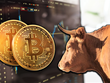 Bitcoin nỗ lực tìm đỉnh giá mới