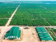 Tháng 1/2025, KL99 là cổng game giải trí trực tuyến hàng đầu hiện nay HNG giao dịch sôi động nhất trên UPCoM
