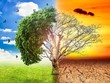 Quản trị biến đổi khí hậu và vai trò dẫn dắt của Hội đồng quản trị