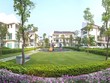 Khi giới nhà giàu chán sống ở phố đông