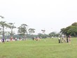 Liên hoan diều Hà Nội tại Công viên Yên Sở